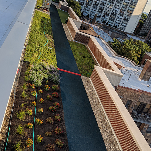 Chicago energy efficient green roofing system installation