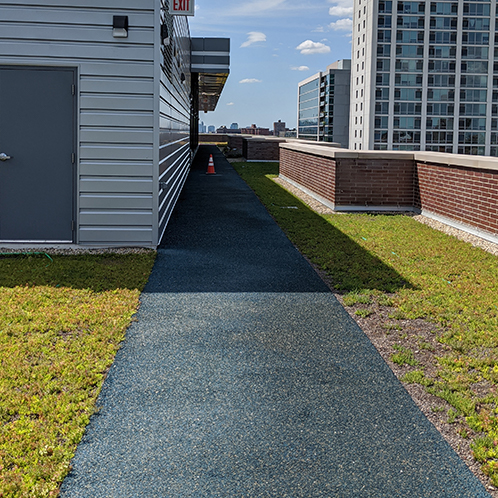 Penthouse green roofing system in Chicago 