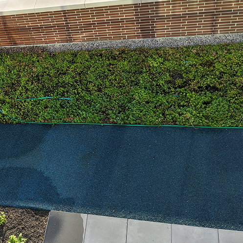 Commercial green roof installation in Chicago, IL