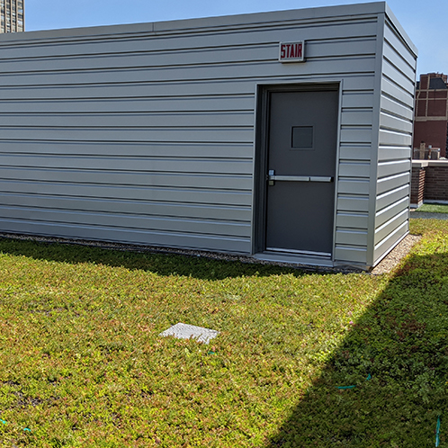 Chicago penthouse green roof replacement services