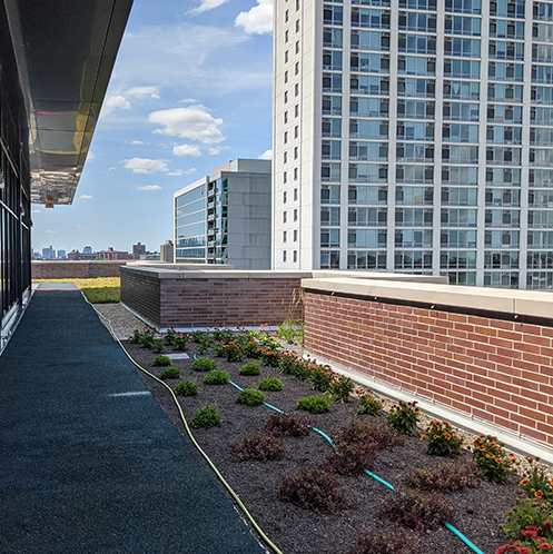 Green roofing system for commercial building in Chicago