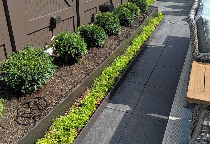 Green/Blue Roof installation
