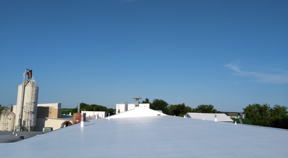 tpo roofing contractors
