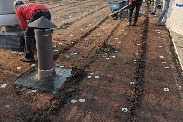 Professional TPO roof project completed at Ozinga