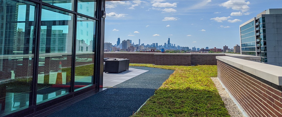 Chicago penthouse with green roofing system installed