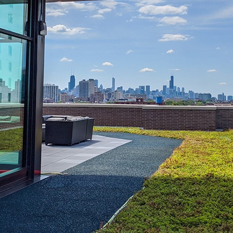 Chicago green roof installation 