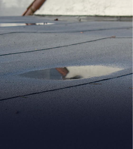 commercial roof inspection for problem detection in clifton