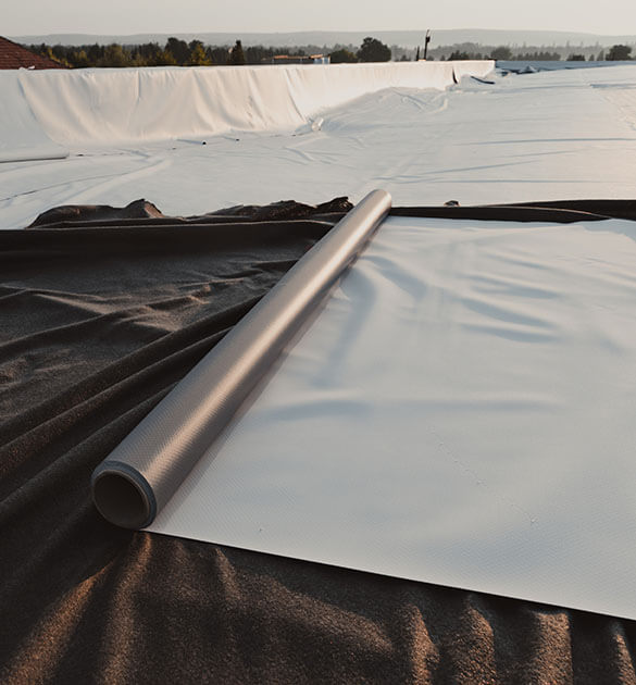 TPO Roof Replacement services