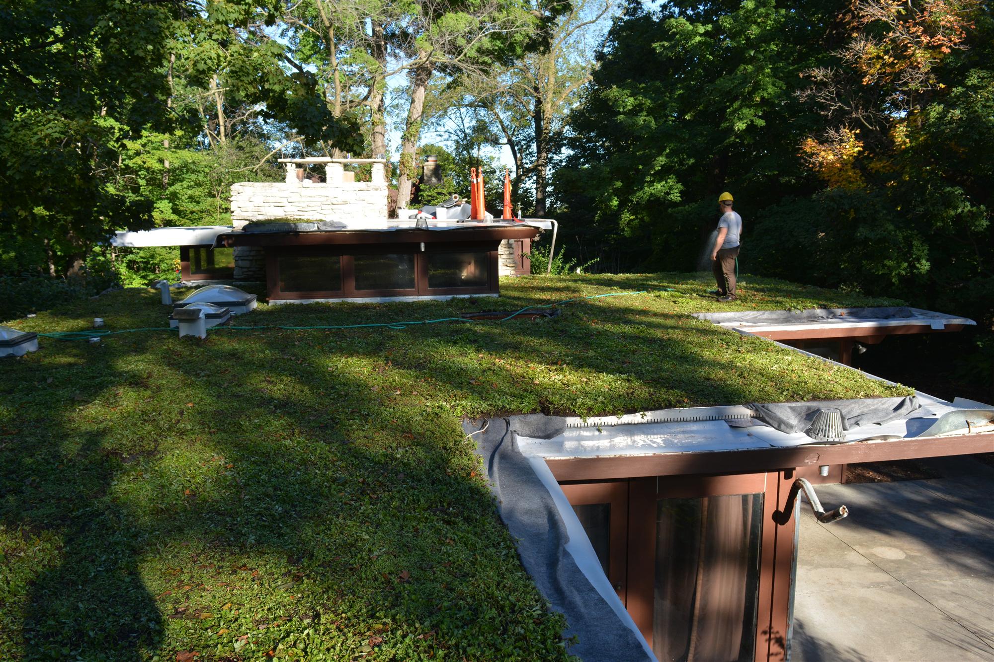 Rooftop Landscapes